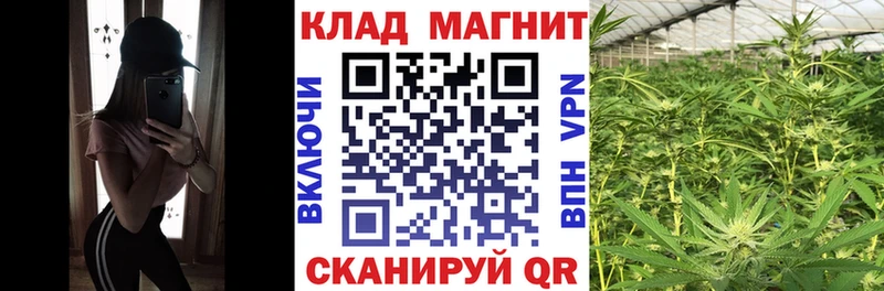 Где купить Инсар Бошки Шишки  A PVP  Метамфетамин  ГАШ 