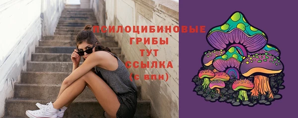 прущие грибы Волоколамск