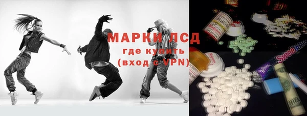 ПСИЛОЦИБИНОВЫЕ ГРИБЫ Богданович