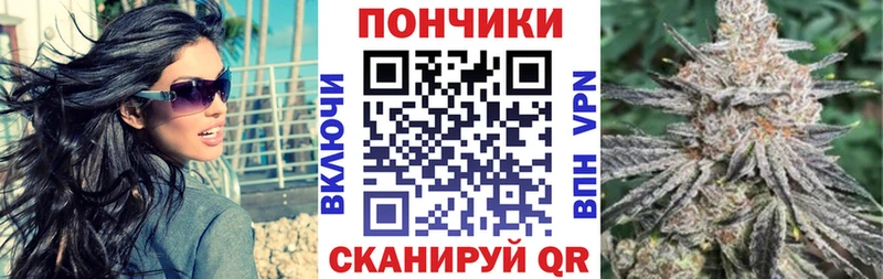 Бошки марихуана THC 21%  OMG tor  Инсар 